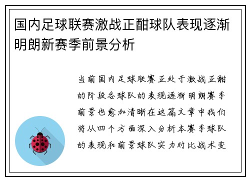 国内足球联赛激战正酣球队表现逐渐明朗新赛季前景分析